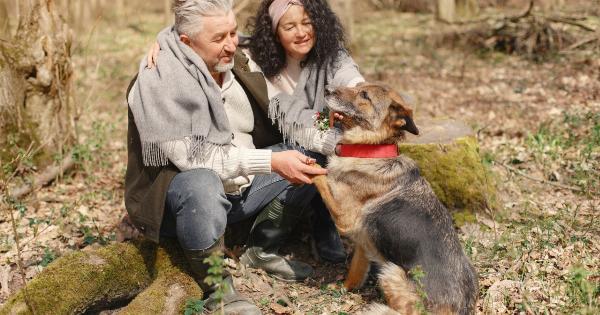 How to ensure a stress-free vacation with your dog