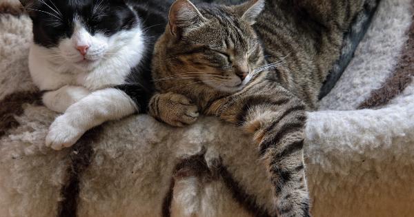 Who knew these animals could cause stress?
