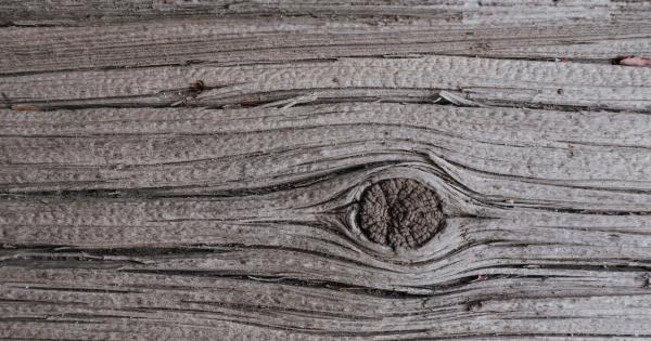 Combat damaged edges with these 3 natural recipes!