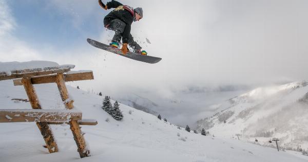 Dog took his snowboard and hit the slopes