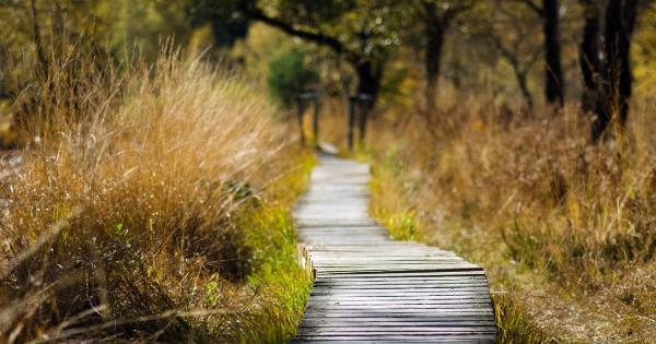 Discover the season that uplifts your mood
