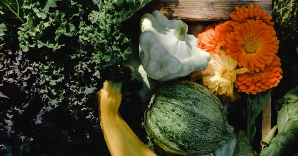 Summer garden salad with cucumbers and zucchini