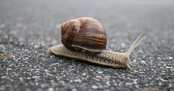 Moving with Parkinson’s: Practical Tips for Slowing Progression
