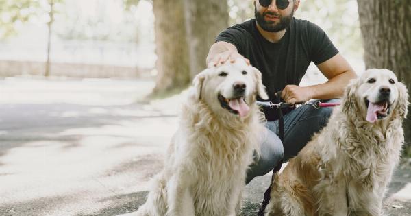 Assistance animals on US airlines must be accompanied by trained dogs
