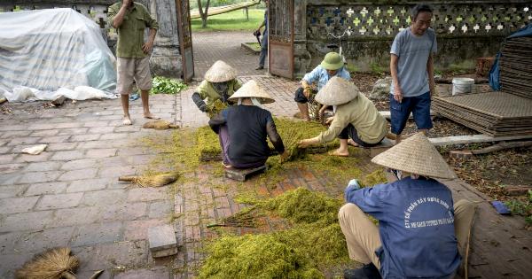 Green tea may help prevent abdominal aortic aneurysm