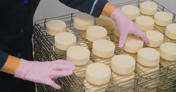 Nourishing Your Bones: Beyond Milk and Cheese
