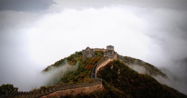 Discovering the Historical Significance of Suction Cups in China