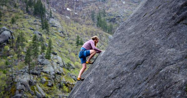 Brain Vulnerability: How to Identify High Risk Groups and Prevention Methods