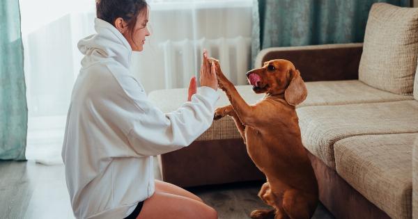 The loyal dog who stayed by his owner’s side