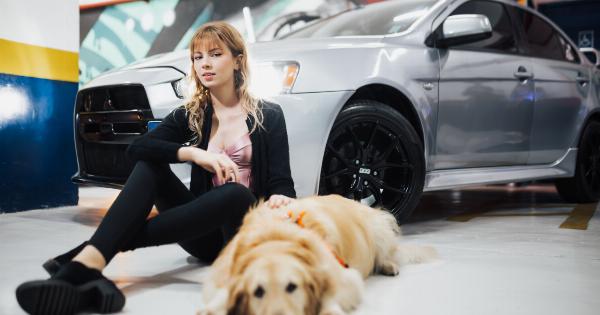 Effective Techniques for Stopping Dog Barking in the Car