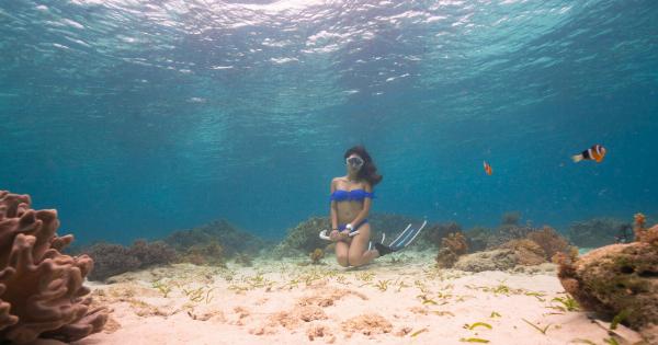 20 Days of Fish Oil: How Will It Affect Your Body?