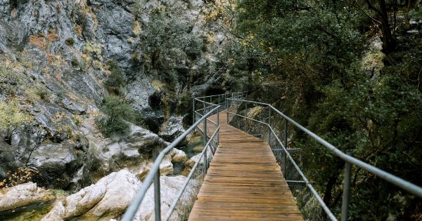 Kiliokakis’s Journey: One Patient’s Triumph Over Adversity