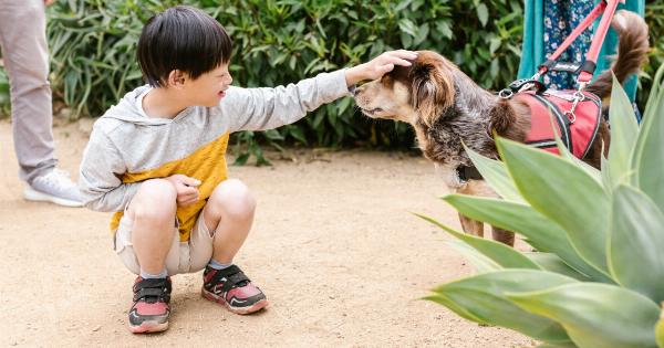 5 reasons your dog needs uninterrupted mealtime