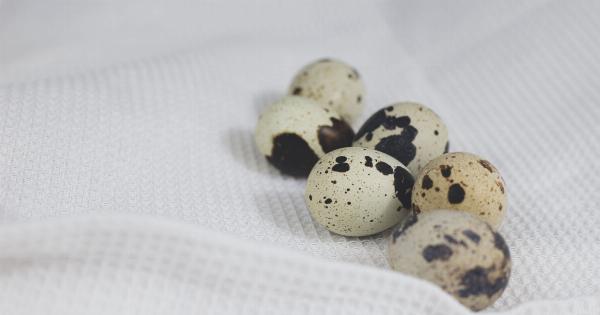 Why do Some Eggs Have White Shells While Others are Brown?