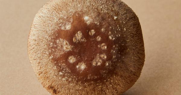 Unlocking the power of dinner: Regulating your bio clock through food