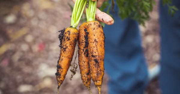 The immune-boosting, lung-supporting, heart-healthy orange veggie