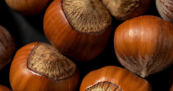 Hard and Healthy: Six Foods for Better Erections