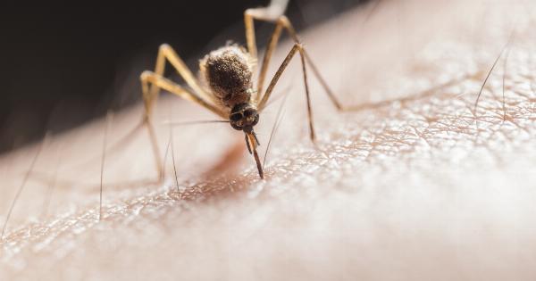 Who’s Most at Risk for Mosquito Bites
