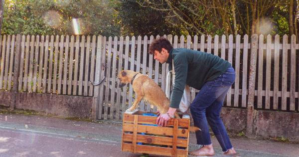 Dog took his skateboard and went for a ride